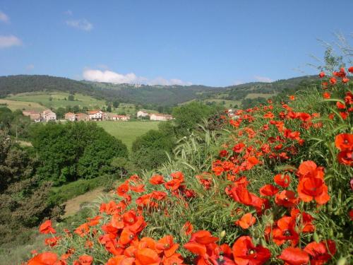 a field of red flowers on a hill with houses in the background at Maison pittoresque avec terrasse et BBQ, calme près de Langeac - FR-1-582-124 in Langeac
