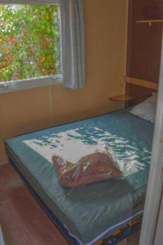 a bed in a room with a window at PARADIS-ZEN in La Roque-dʼAnthéron