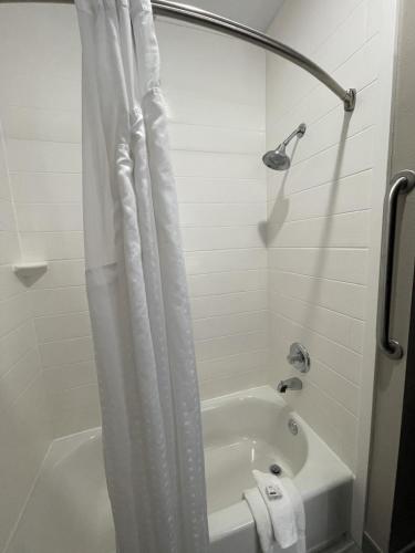 Ένα μπάνιο στο Holiday Inn Express Hotel and Suites Ada by IHG