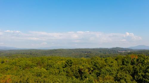 an aerial view of a forest of trees at Finding Grace in Blue Ridge