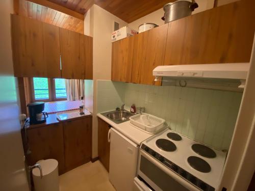 Il comprend une petite cuisine équipée d'une cuisinière et d'un évier. dans l'établissement Appartement au centre de La Clusaz avec balcon, ascenseur et casier à skis - FR-1-459-197, à La Clusaz