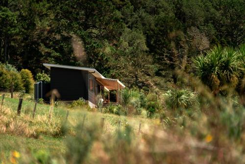 Φωτογραφία από το άλμπουμ του Koa Cabin Hahei σε Hahei