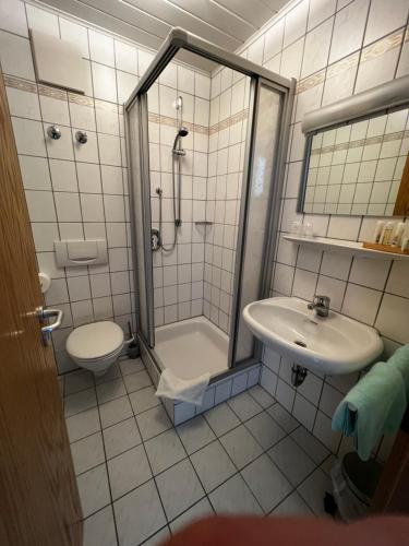 a bathroom with a shower and a toilet and a sink at Gästehaus Lena in Mudau