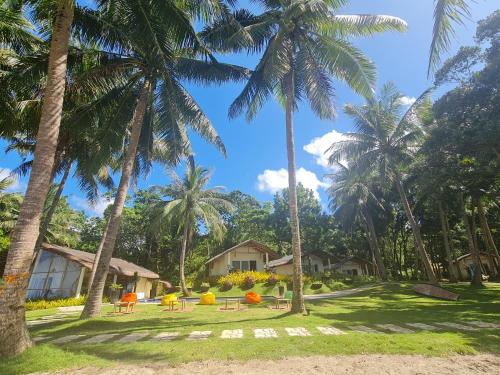 a view of a yard with palm trees at Antique Amor Bungalows & Villas in Pandan