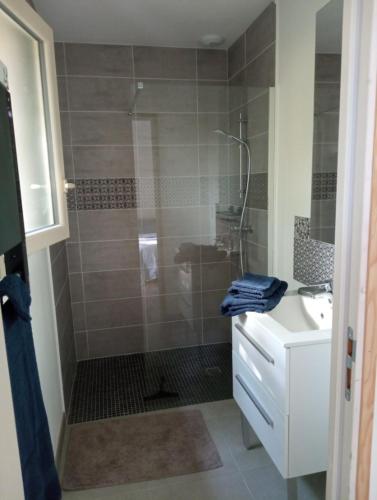une salle de bain avec douche et lavabo dans l'établissement Chambre au calme entourée par la nature., à Saint-Léon-sur-Vézère