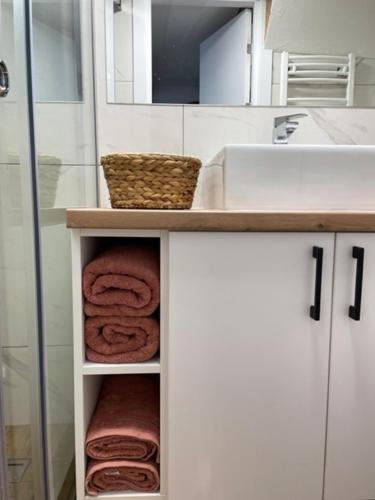 a bathroom with a sink and a counter with towels at Residence Provence New in Vrdnik