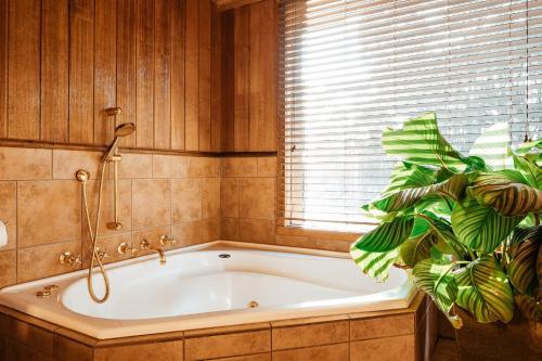 a bath tub in a bathroom with a plant at Kangaroo Manor in Yarra Junction