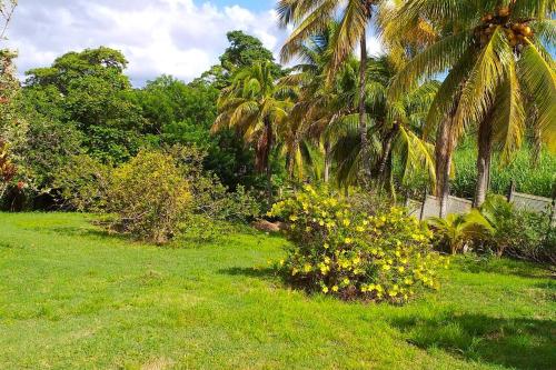 Giardino di Appartement confortable avec vue sur le jardin - Le Robert