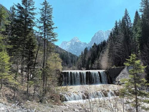 a waterfall in the middle of a forest at Apartments Blažič in Kranjska Gora