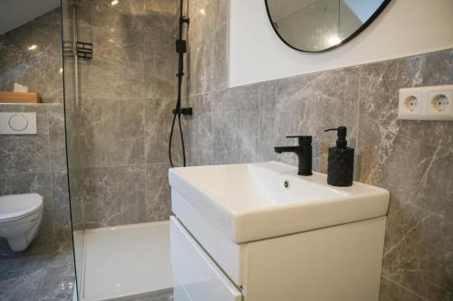 a bathroom with a sink and a shower and a mirror at Modernes Loft in Ramstein - mit Sauna & TLA in Ramstein-Miesenbach