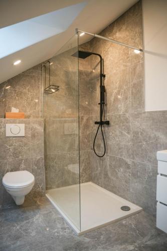 a bathroom with a glass shower with a toilet at Modernes Loft in Ramstein - mit Sauna & TLA in Ramstein-Miesenbach