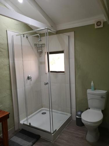 a shower stall in a bathroom with a toilet at Crimson Bush Lodge in Klipdrift