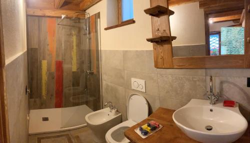 a bathroom with a sink and a toilet and a shower at Appartamento Lou Touas dou Lamet a Moncenisio in Moncenisio
