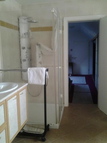 a bathroom with a shower and a sink and a towel at Les 3 Clés in Dossenheim-Kochersberg