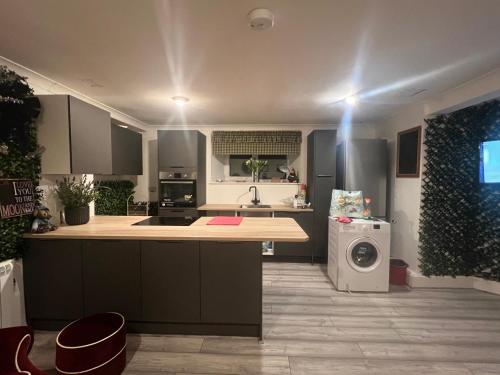 a kitchen with a counter and a washer and dryer at The Nook at Sunnyside in Douglas