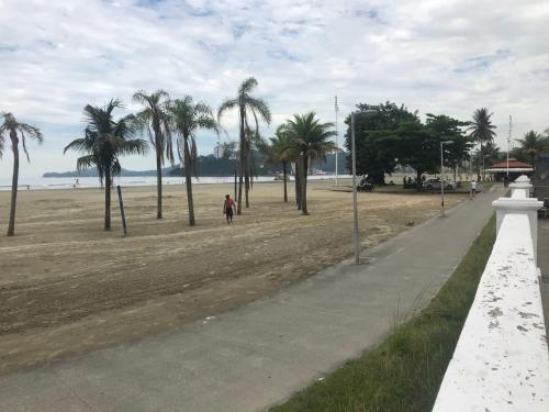 a person walking down a sidewalk near a beach with palm trees at Apartamento Frente ao Mar Santos II in Santos