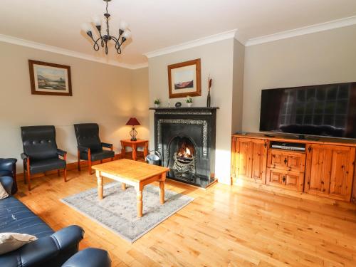 a living room with a fireplace and a tv at Fernwood in Killarney