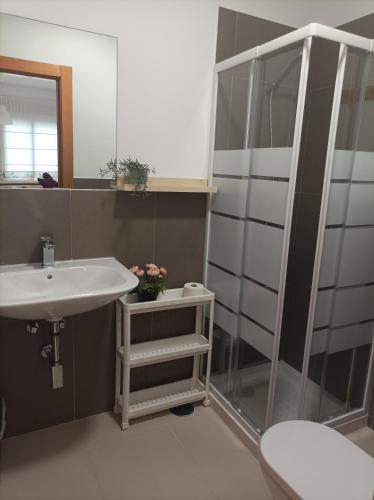 La salle de bains est pourvue d'un lavabo et d'une douche. dans l'établissement Casa San Isidro, à El Pedroso