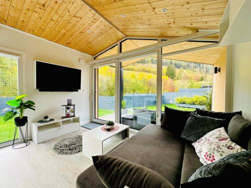 Voralpen Lodge - Ferienhaus mit Gym, Sauna & Hot Tub في Traisen: غرفة معيشة مع أريكة وتلفزيون بشاشة مسطحة