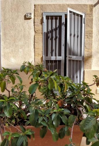a window and a bush in front of a building at Bed & Breakfast Porta d'Oriente in Brindisi