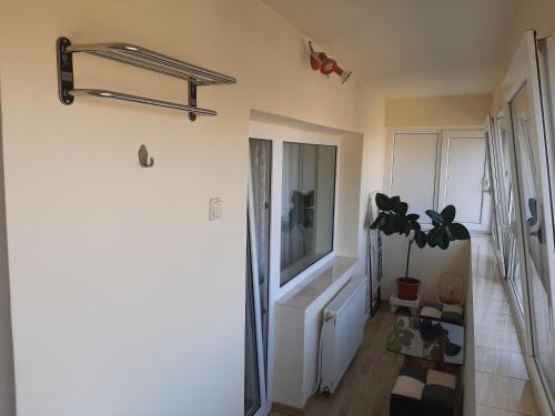 a white room with a plant and a window at Ultracentral,Parcul Catedralei,apartament 2 camere in Bacău