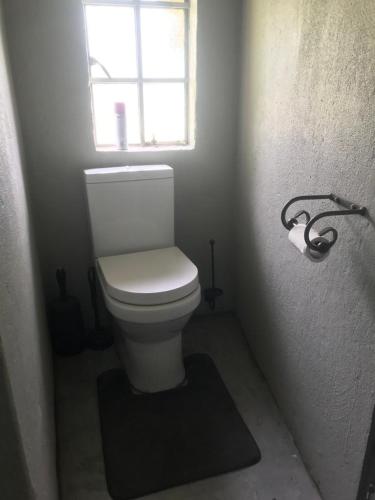 a bathroom with a white toilet and a window at Kruger Ranch in Magaliesburg
