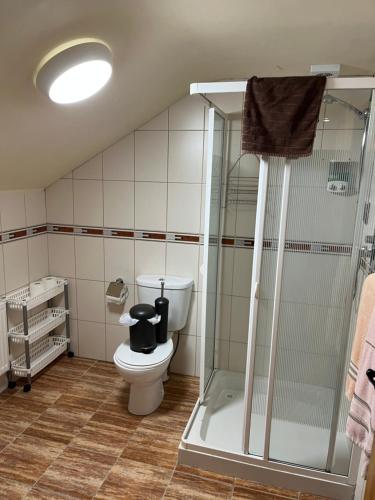 uma casa de banho com um WC e uma cabina de duche em vidro. em Douglasha House V93RX64 em Killarney