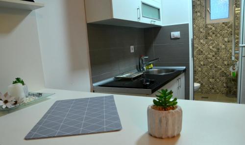 a kitchen with a sink and a counter top at IVA studio-apartment in Kladovo