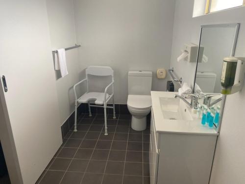a bathroom with a toilet and a sink and a mirror at Lake Macquarie Motor Inn in Belmont