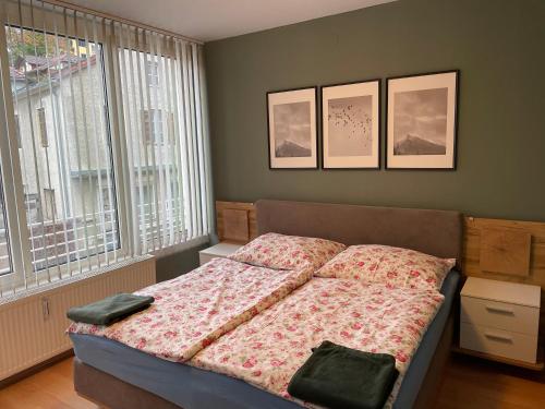 ein Schlafzimmer mit einem Bett und zwei Bildern an der Wand in der Unterkunft Apartment Maximilian in old Town in Innsbruck