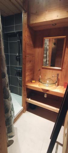 a bathroom with a shower and a sink and a mirror at Appartement au rez de jardin d'une villa Mexicaine in Barcelonnette