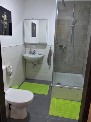 a bathroom with a shower and a toilet and a sink at Tante Emma Kapstadt in Paderborn