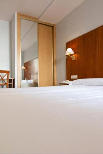 Фотография из галереи Hotel Hispania в городе Сарагоса