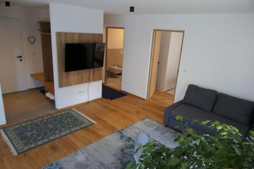 ペルカにあるBioTop Appartement Kronplatzのソファと薄型テレビのあるリビングルーム