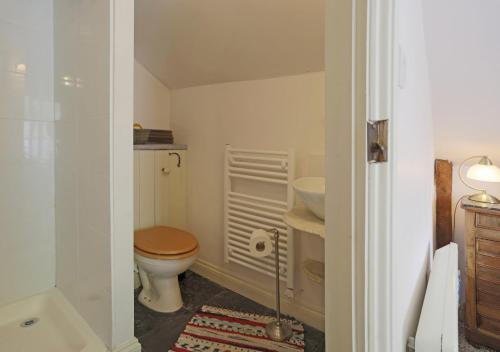 a small bathroom with a toilet and a sink at The Carters Loft in Badingham