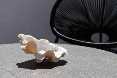 ビーゴにあるHotel Celtaのギャラリーの写真