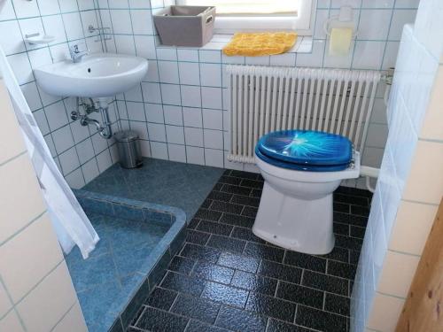 y baño con aseo azul y lavamanos. en Ferienwohnung Gundacker en Dobersberg