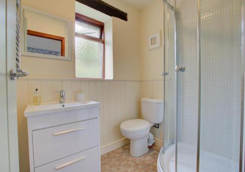a bathroom with a toilet and a sink and a shower at Swallow Cottage in Llanerchymedd