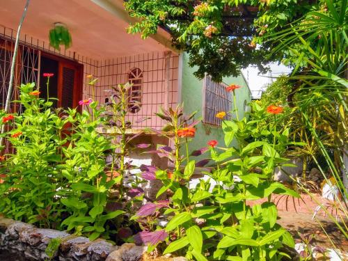 Taman di luar Praieiro Hostel Albergue