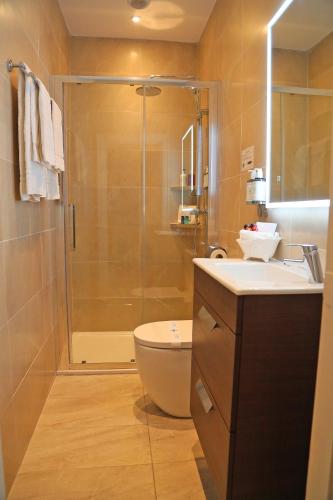a bathroom with a shower and a toilet and a sink at Kilronan House in Dublin