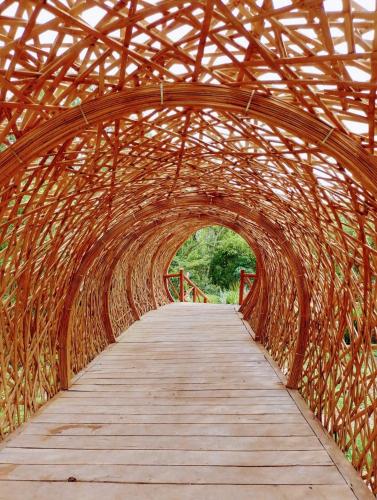 a wooden bridge with a wooden walkway at Destino Mío Mayan Jungle Retreat in Tekit