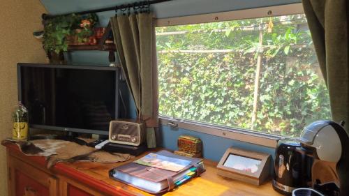 a desk with a television and a window with a cat on it at AirstreamNB in Schayk