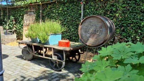 a wheelbarrow with a plant on it and a barrel at AirstreamNB in Schayk