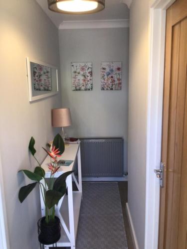 a hallway with a desk with a plant and a lamp at Letterston Valley View in Haverfordwest