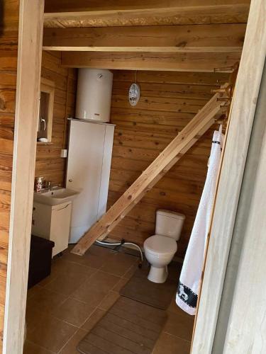 ein Badezimmer mit WC in einer Holzhütte in der Unterkunft Sodo namelis 