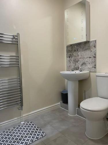 a bathroom with a toilet and a sink at Kennys apartment in Milford Haven