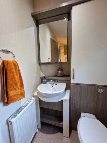 a bathroom with a sink and a mirror and a toilet at Ocean view in Paignton