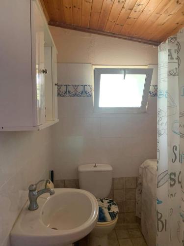 een badkamer met een wastafel en een toilet bij Ξυλινο σπίτι δίπλα στην θάλασσα in Kineta