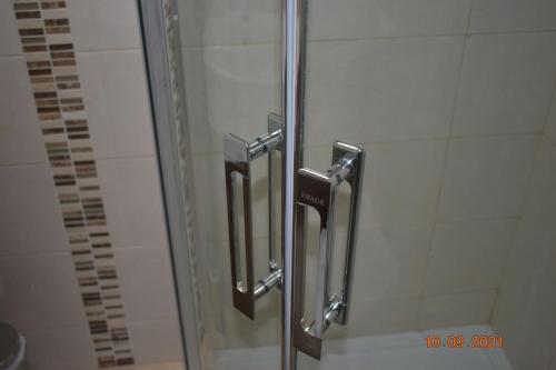 a shower with a glass door in a bathroom at Erne River Lodge in Belturbet