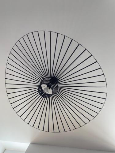 MD Gallery – Photos 3